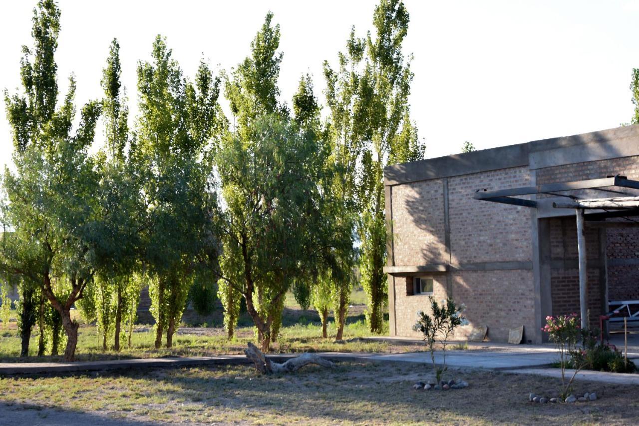 Cabanas De La Bodega Romano-Pin Albardon Ngoại thất bức ảnh