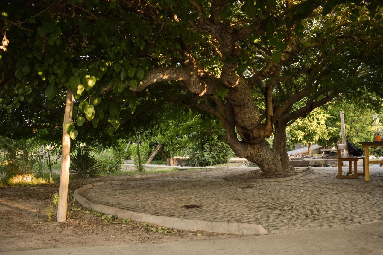 Cabanas De La Bodega Romano-Pin Albardon Ngoại thất bức ảnh