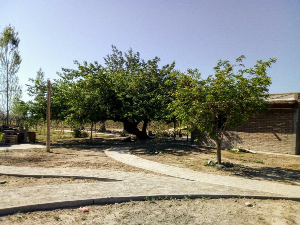 Cabanas De La Bodega Romano-Pin Albardon Ngoại thất bức ảnh